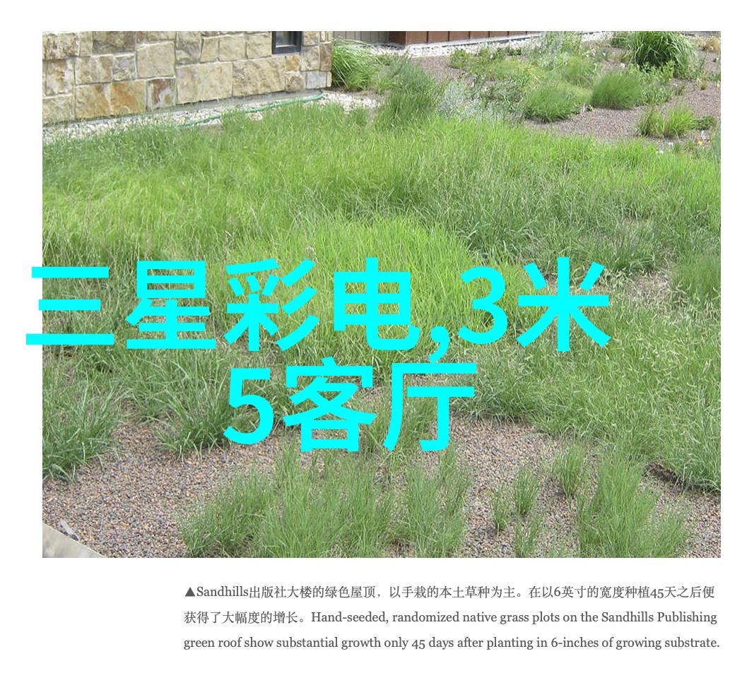 主题我是不是该放下mwe了