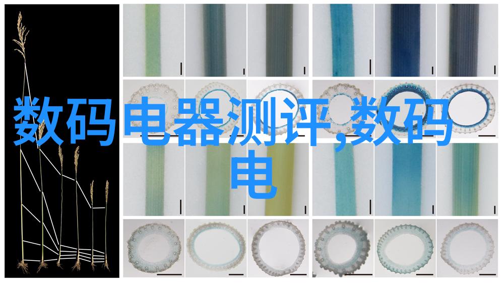 化学品的世界哪些化学品是我们日常生活中不可或缺的