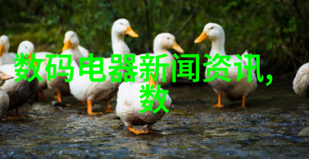 如何确保你的投融资申请文档PFD能够吸引潜在的投资者支持