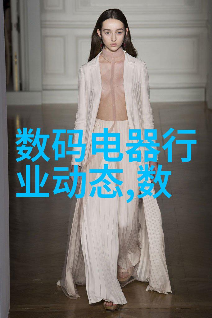 健康生活的守护者卫生阀的重要性探究