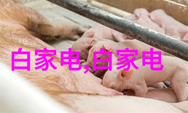 不锈钢反应釜产品性能之谜能否承受极端条件的考验