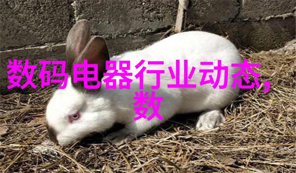 最新处理器排名性能大师的争锋之地
