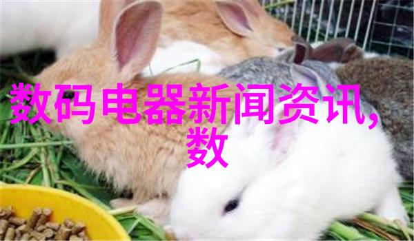 环境保护需求下煤泥干燥设备的创新发展