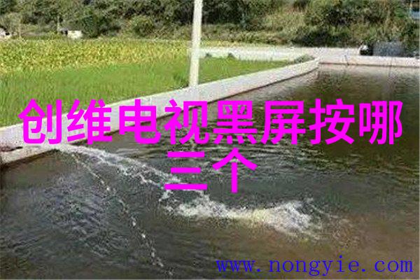 刘亦菲斗转星移我看过的那场刘亦菲斗转星移的奇幻