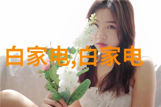主题我来教你如何简单易懂地使用洗碗机视频