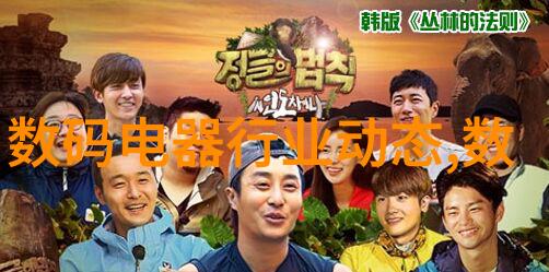 矿业领域中大规模用途的心脏重型过滤和洗涤系统设计