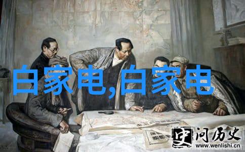 创新产品在数码电器行业中的表现如何