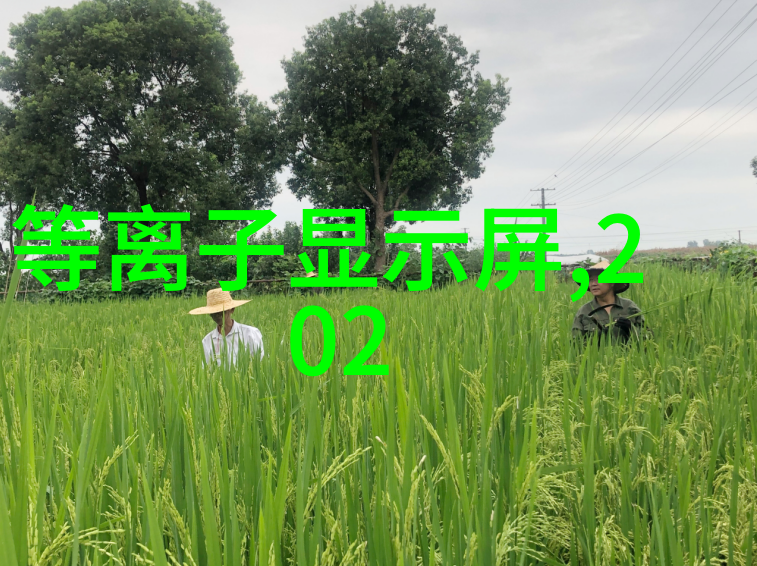 古今之交响九鼎的装饰艺术与文化故事