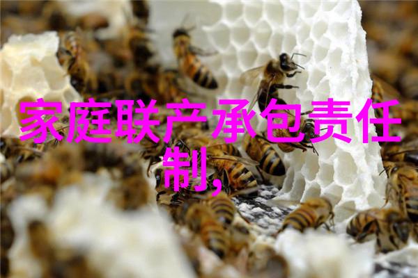 爱普生技术如何推动服务业的自动化转型