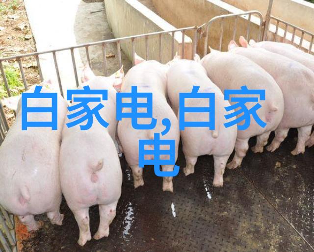 创维电视上门服务我是怎么体验到创维电视上门服务的惊喜