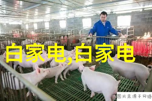 农村自来水一体化处理系统革新清洁源头的智慧选择