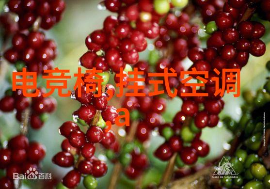 深圳职业技术学院培育创新人才的摇篮