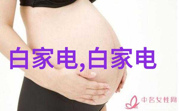 财经大学排名哪些学府能跻身前列