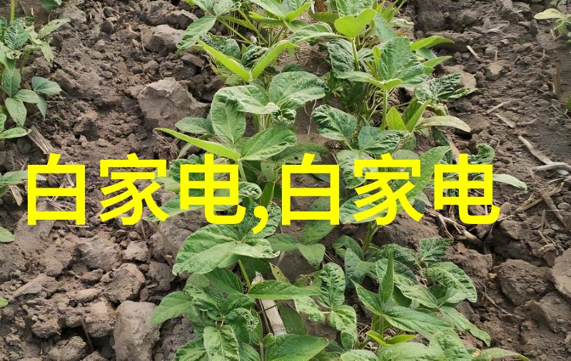 流化床技术的多重魅力解析其工作原理与应用广度