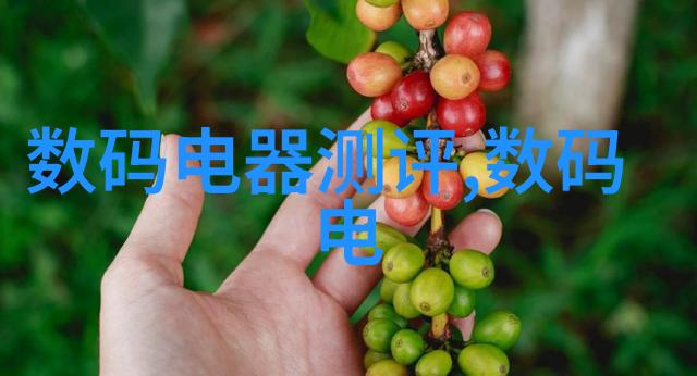 芯片长什么样子 - 微小的电子奇迹揭秘芯片内部世界