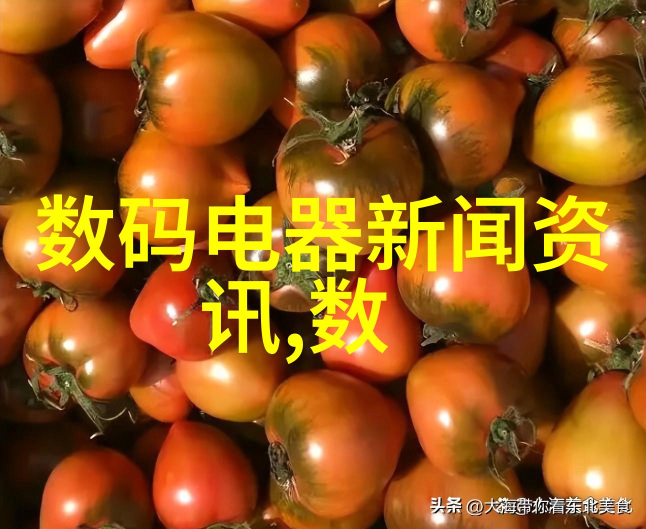 水电安装全解析从发电机组到输变压器深度剖析水电项目的每个关键环节