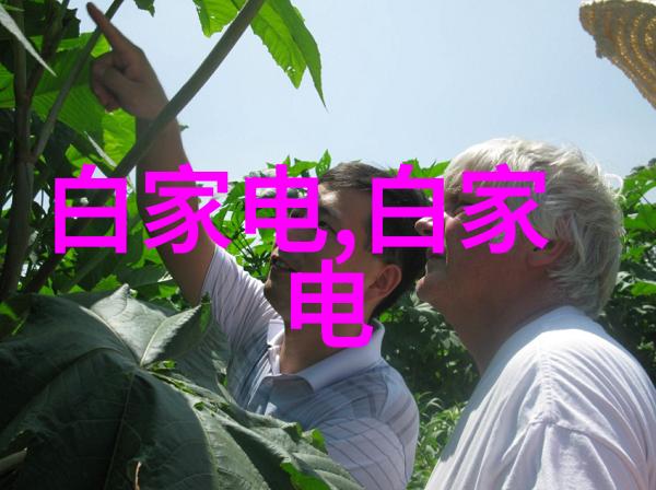 电子商贸-2022年全球进口芯片金额激增新一代技术驱动市场增长