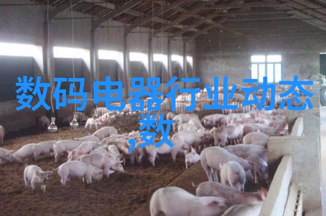 退休规划中投资于房地产好还是股票好