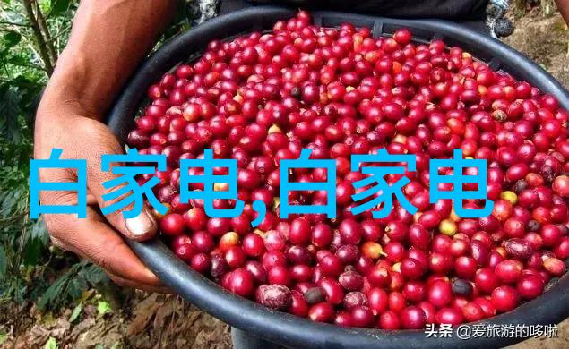 干燥设备设计我来告诉你如何让你的物料不再湿透