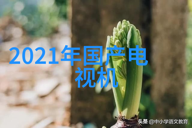 人才评估测试答案-智慧的考验解析人才评估测试答案之谜