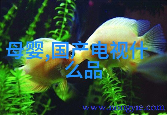 装修设计-精选十家专业装修公司让您的居住空间焕然一新