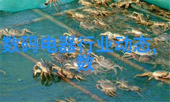 机械之心流线型的纯净守护者