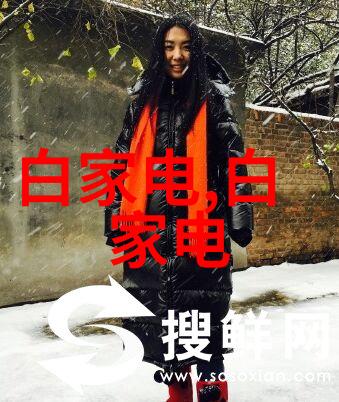 不锈钢的秘密揭开隐匿之种