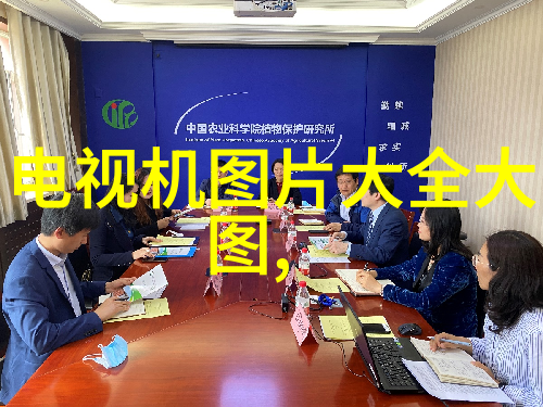 跨越国界和领域探索那些可能成为国际级别芯片领导者的实体