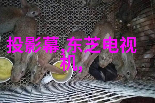 博学测评网-精准评价智慧成长的引擎