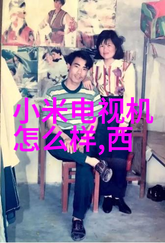 客厅和餐厅在一起怎么装修设计我的家里也想这样搞