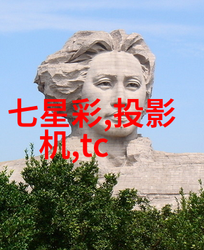 北大青鸟职业技术学院课程体系分析