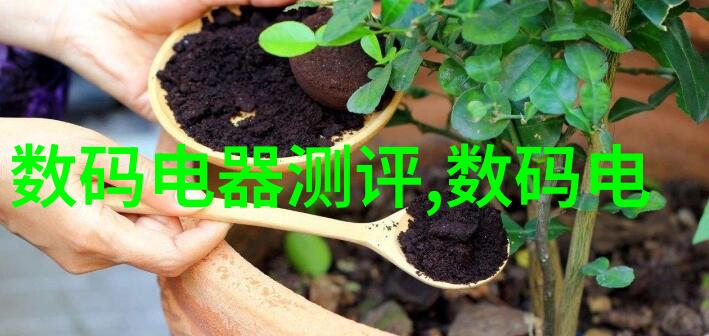 软件测试探索解锁应用世界的质量守护者