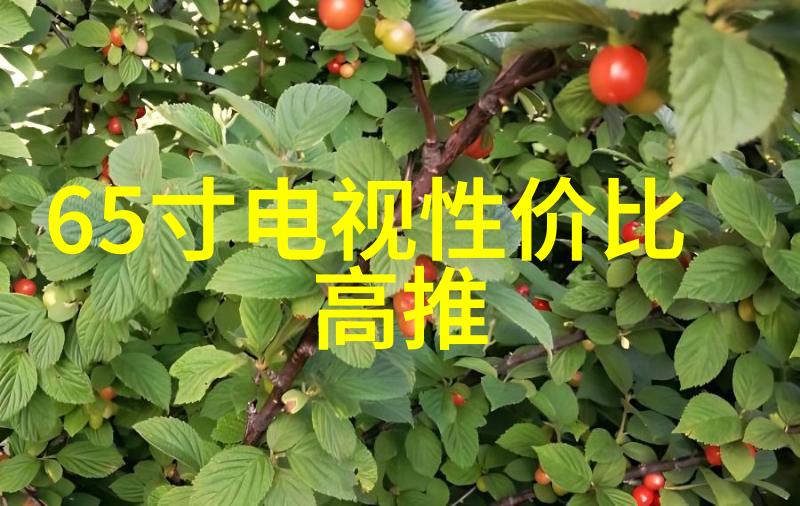拔萝卜痛叫全程免费的田园生活的乐趣