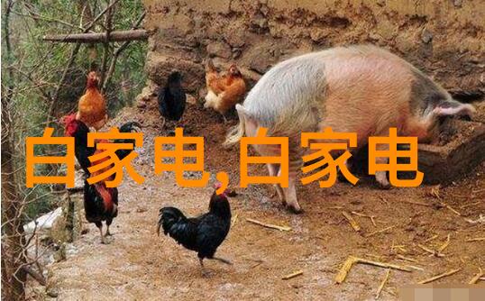 钢铁精灵小型不锈钢加工厂的奇迹工坊