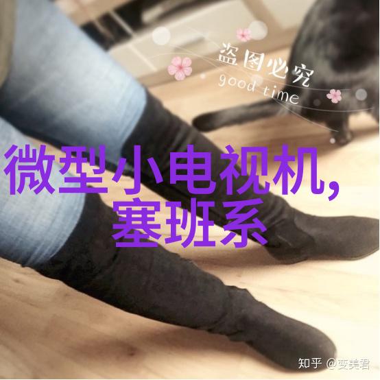 办公空间新面貌公司装修的艺术与实用