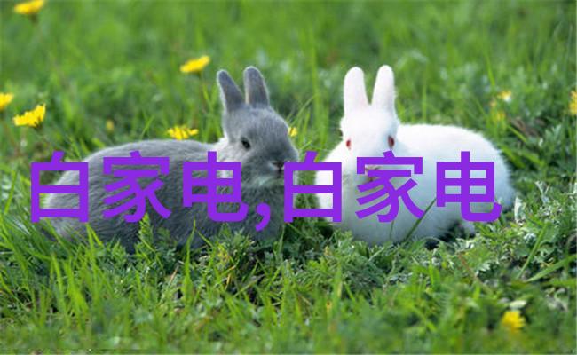 上海财经大学浙江学院金融教育新高地的探索与实践