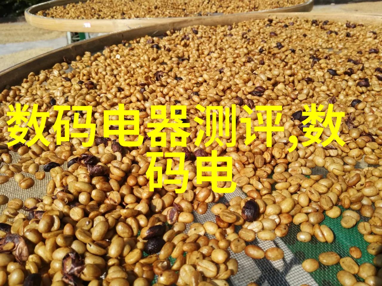 载玻片实验室工作中的重要辅助器具