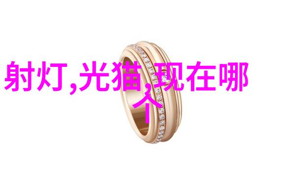 拍vlog的小型摄像机叫什么-探索微影揭秘适合Vlog创作的轻巧神器