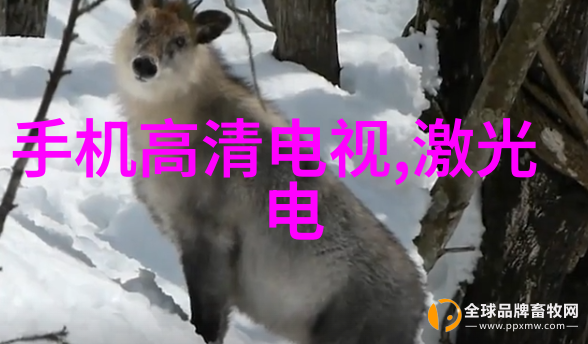 月落归林萝卜药的夜色交响