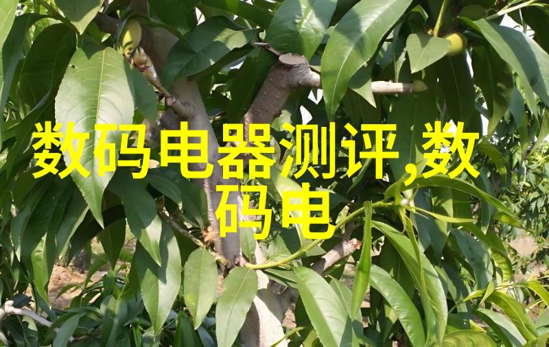 消毒清洁至上专业消杀公司的全方位服务体系