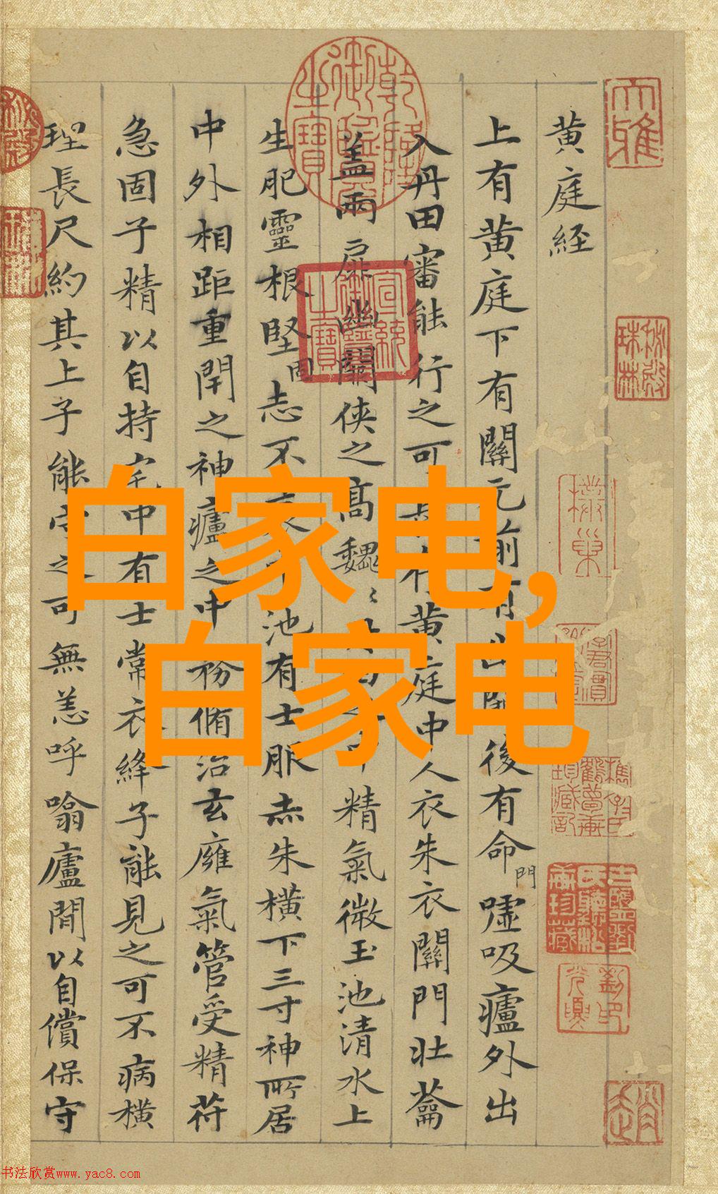 杉杉来吃森林里的味蕾探险