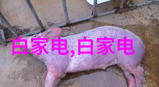数码电器新闻科技浪潮的革新之路