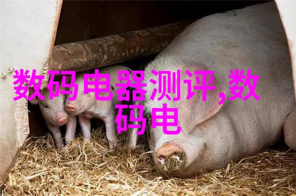 高效污染物去除技术在制造废水处理设备中的应用与发展