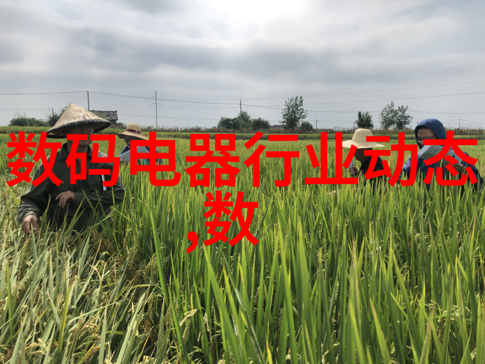 白家电的智能化发展趋势如何