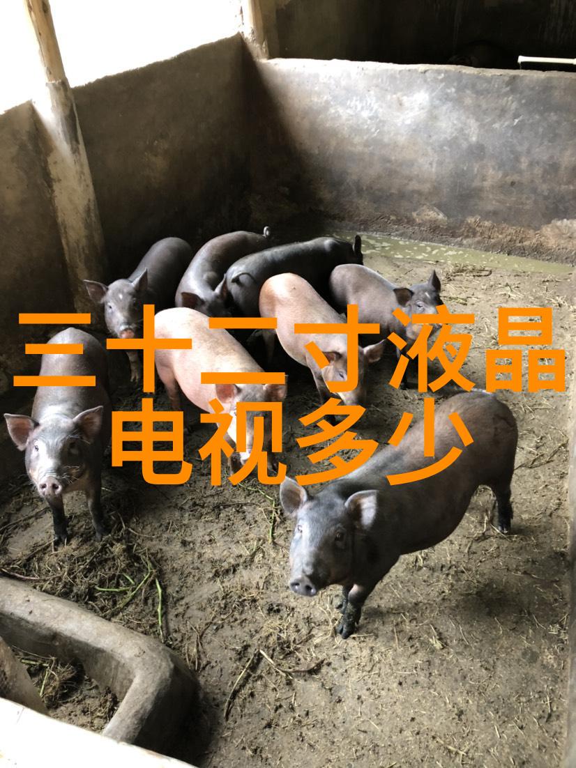 小型加工机器的兴起如何提升制造业效率