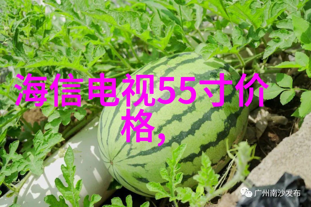 简便高效的乡间生活改善器农村自家门口的一体化过滤器