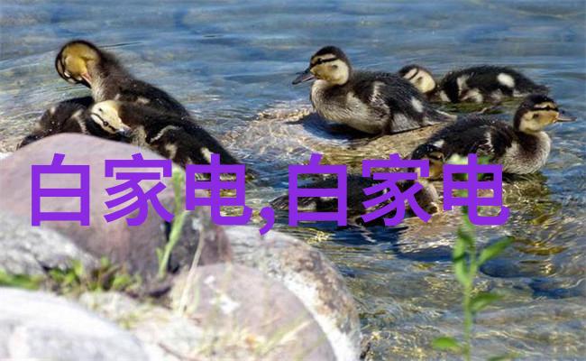 蒸汽换热器功效与应用的全方位探究
