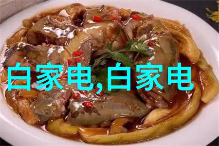 化工包衣机械精密装备的安全守护者