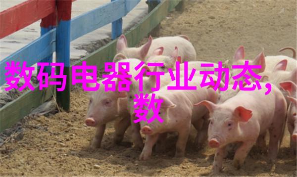 手机电视正版下载安全便捷高品质视频娱乐体验