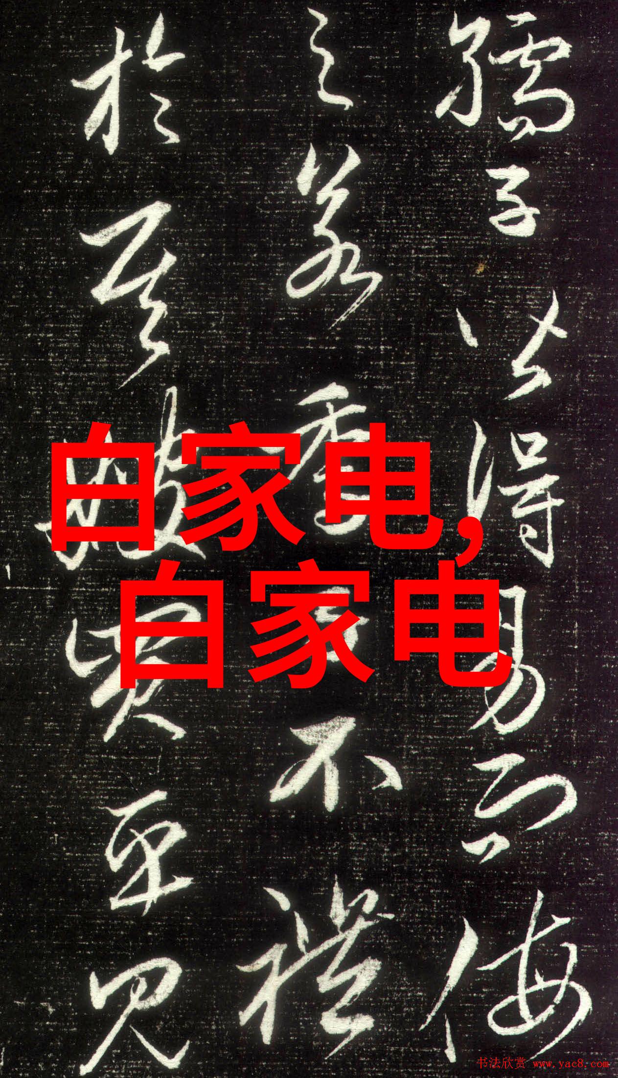 药剂工作者的伙伴探索制药世界中的精密仪器